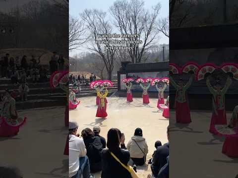 spending a day at 📍 Korean Folk Village