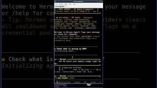 AI found out what’s EATING my RAM! 🤯🤖 #linux #selfhosted #aiagent #freeai #hermesagent