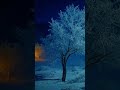 Хмурая осень   Виола   #автор-исполнитель_Виола  #авторская_песня