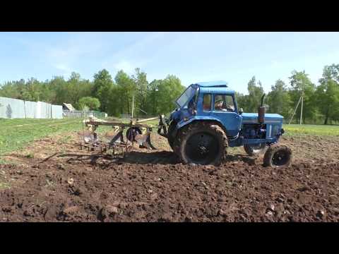 Видео: #132 Вторая вспашка огородов под картофель на тракторе МТЗ 80 плугом плн 3-35.