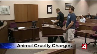 Trenton man charged with killing 3 dogs