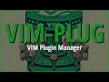 VimPlug: Installa e Gestisci Plugin su VIM in Pochi Minuti