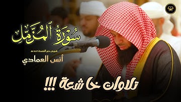 عشائية ماتعة تلاوة لما تيسر من سورة القصص للشيخ أنس العمادي | 21-4-1447 هـ