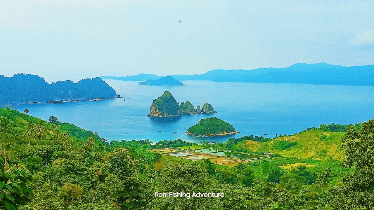 KAMINTARA || PULAU WAYANG LAMPUNG | RAJA AMPAT LAMPUNG #rajaampatisland