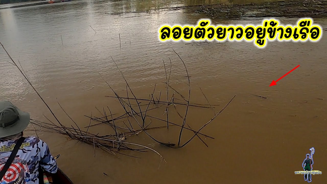 ลงเรือล่าปลาลอย