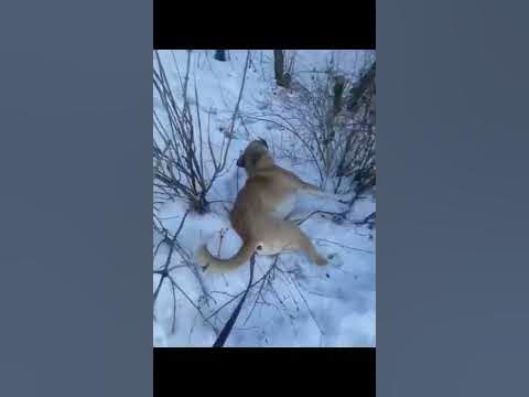 ягодки вкусняшки 🍒😂😄😄😄😄 - YouTube