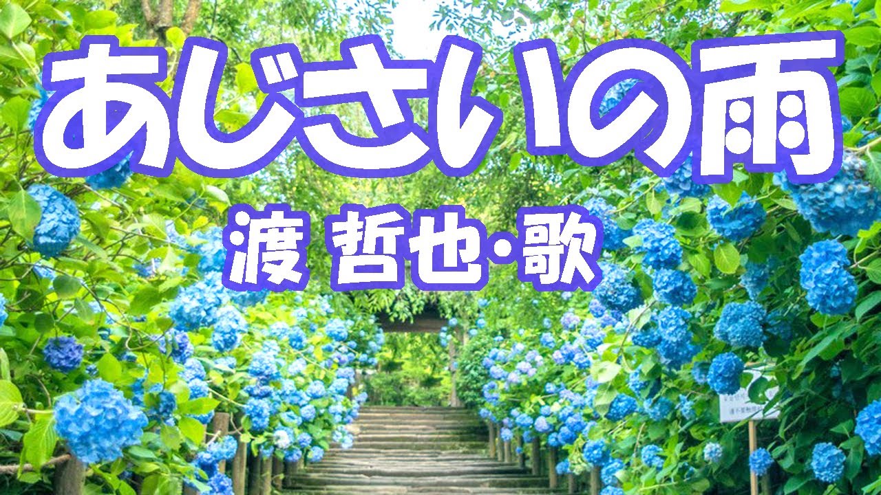 在 YouTube 上观看 渡 哲也 / あじさいの雨