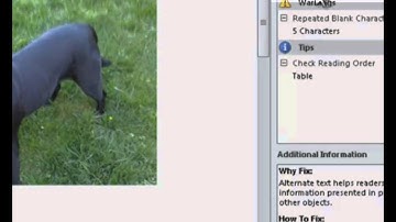 MS Word: Accessibility Checker - Image Alt text