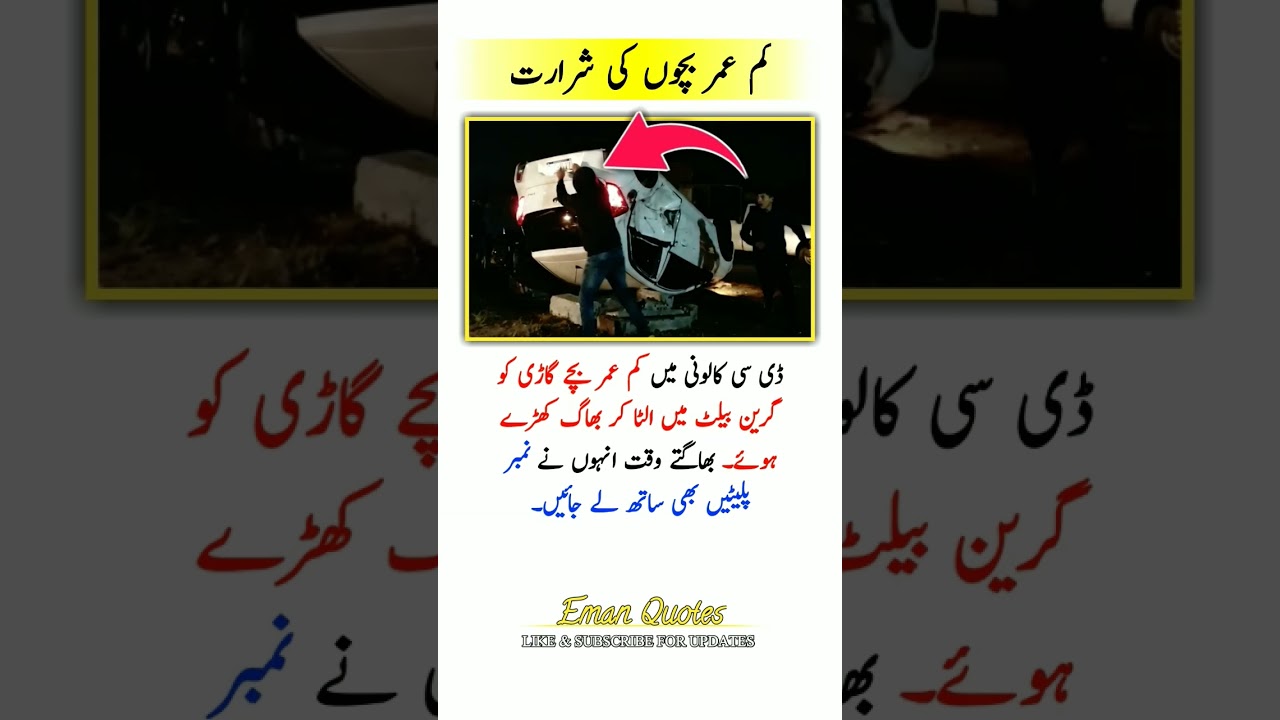 4 Life-Changing Quotes for Daily Motivation 