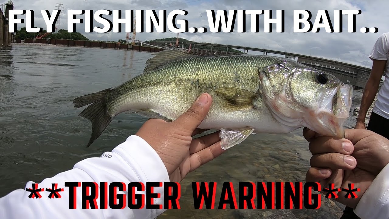 **Fly Fishing with BAIT !?!?** (WATCH TILL THE END !!!) YouTube