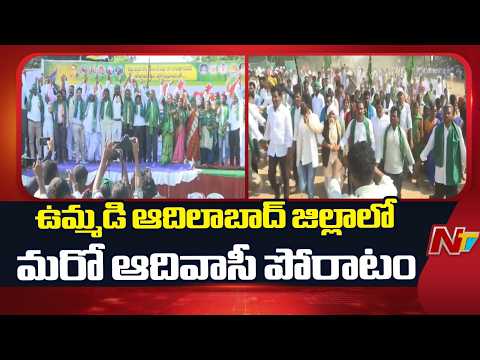 ఉమ్మడి ఆదిలాబాద్ జిల్లాలో మరో ఆదివాసీ పోరాటం | Adilabad | NTV Telugu - NTVTELUGU