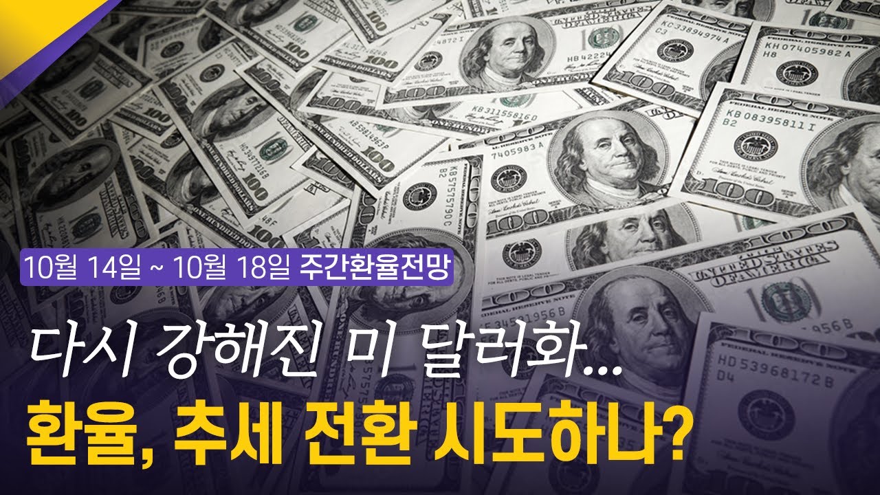 다시 강해진 미 달러화... 환율, 추세 전환 시도하나? | 10월 3주차 환율전망 | 환율똑톡