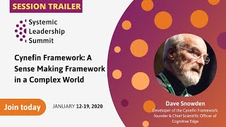 03. Dave Snowden - Cynefin Framework - Sense Making Framework in a Complex World - Trailer