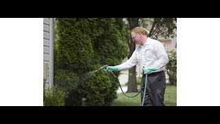 Best reviews rodent pest control exterminator Rancho Cucamonga CA