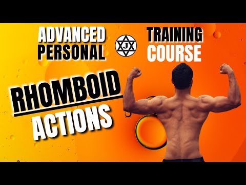 Rhomboid Actions (Why you can't raise your hands)
