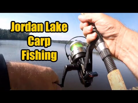 Carp Fishing at Jordan Lake North Carolina #jordanlake 