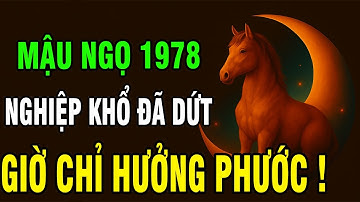 Tuổi Mậu Ngọ 1978 Người Mang Nghiệp Mệnh Khó Khăn, Nhưng Hậu Vận Được Trời Độ Không Ngờ!