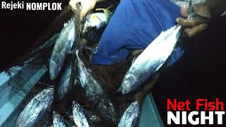 Busyet!! Rombongan IKAN TUNA CAKALANG T4KLUK di PUKAT/JARING TERAPUNG, Net Fishing Best Videos