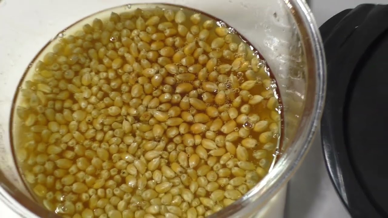 Неудачный попкорн [Анти-приготовление]