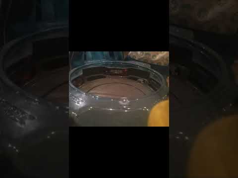 Beyblade Battle Royale