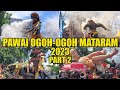 Full pawai ogohogoh mataram lombok 2023  part 2