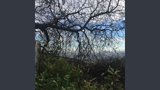 Download Lagu Gragloo MP3