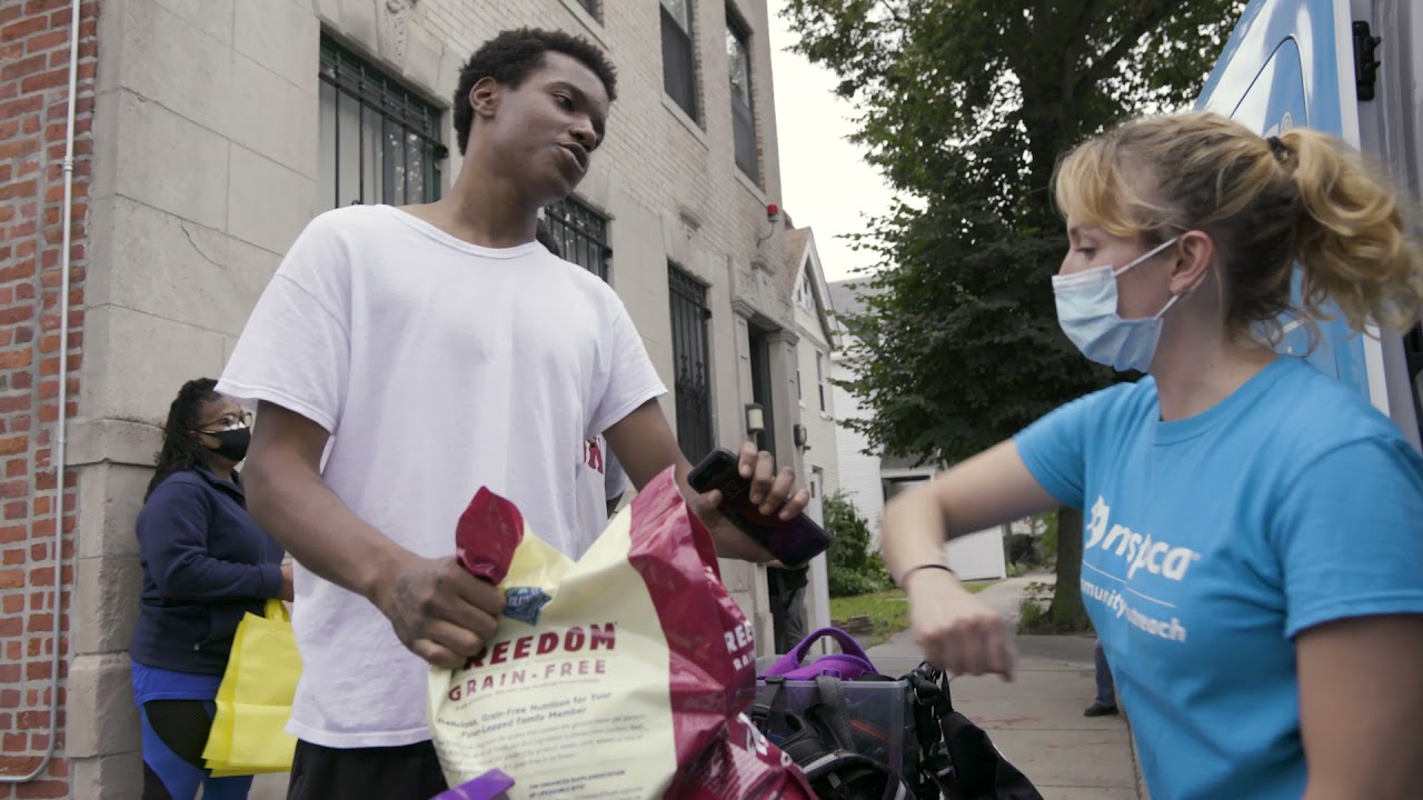 The MSPCA-Angell: "Any Given Day" Trailer