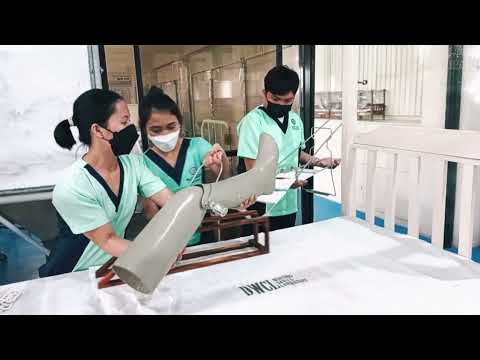Skeletal Traction Application (CollegeStudents)