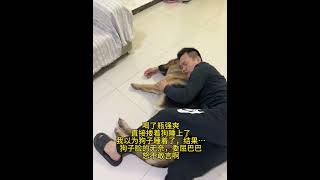 Drunk Man Forces Dog Son to Explain: Unraveling a Mysterious Behavior