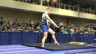 Cameron Bock - Vault - 2015 Winter Cup Finals