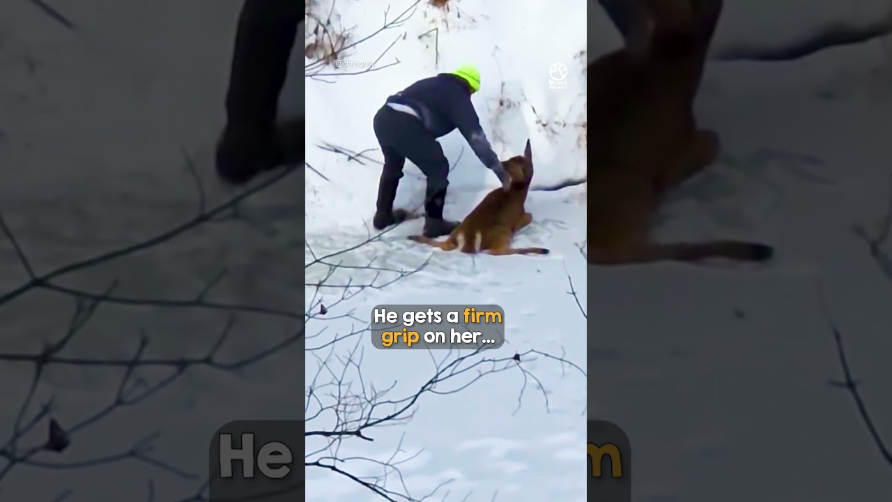 The way she keeps looking back to thank him 🥺