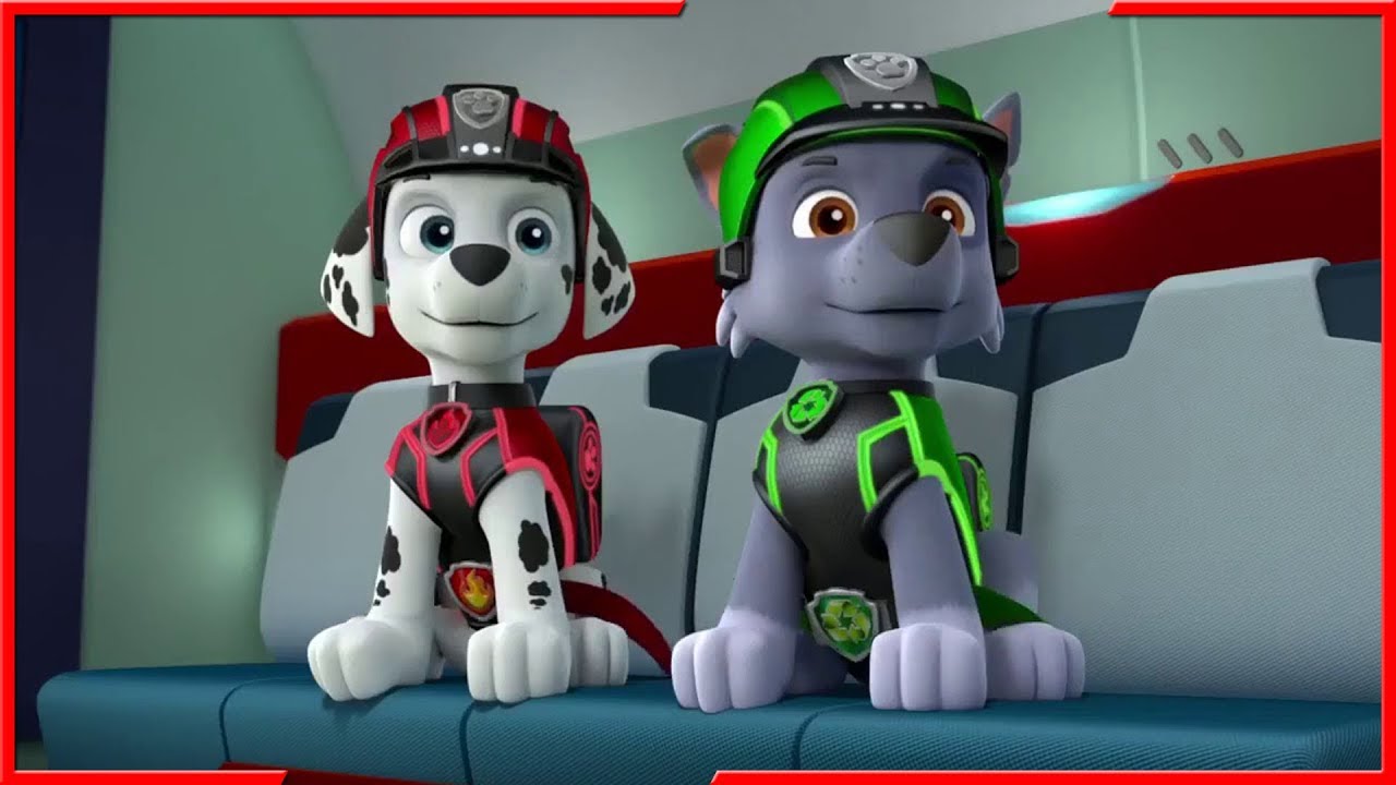 Картинки щенячий патруль операция гав