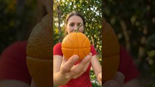 What fruit or shape next? #ai #foryou #xyzbca #gardening #trending