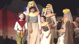 Discovery's Lion King Jr.