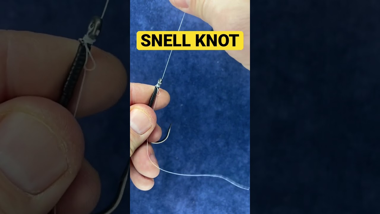 How to Tie SNELL KNOT - the BEST Fishing Knot for Flipping #fishing #shorts  