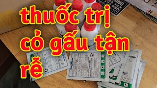 Hd175.Thuốc Diệt Cỏ Gấu Tận Gốc Tận Rễ Tận Củ