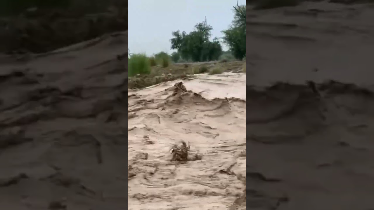 Flood River Ravi,River Chanab 