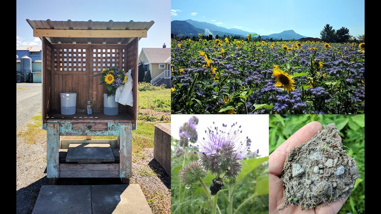 Nurturing Life from the Ground Up