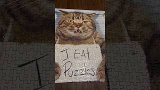 ASMR Scratching On A Cat Puzzle | (No Talking) #ASMR #Shorts