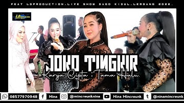 NINA MINCREUNK - JOKO TINGKIR || LDPRO || MUTIARA SOUND SYSTEM || 2022.