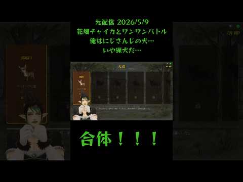 合体！！！花畑チャイカ/にじさんじ》#shorts #にじさんじ #花畑チャイカ #チャイカデラックス #ワンワンバトル #Vtuber #切り抜き