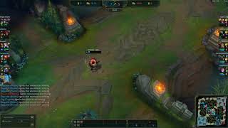 Kayn Bug Patch 10.6