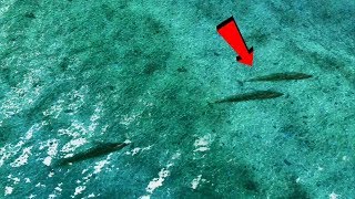 Battlefield 5 - Attention To Detail & Easter Eggs