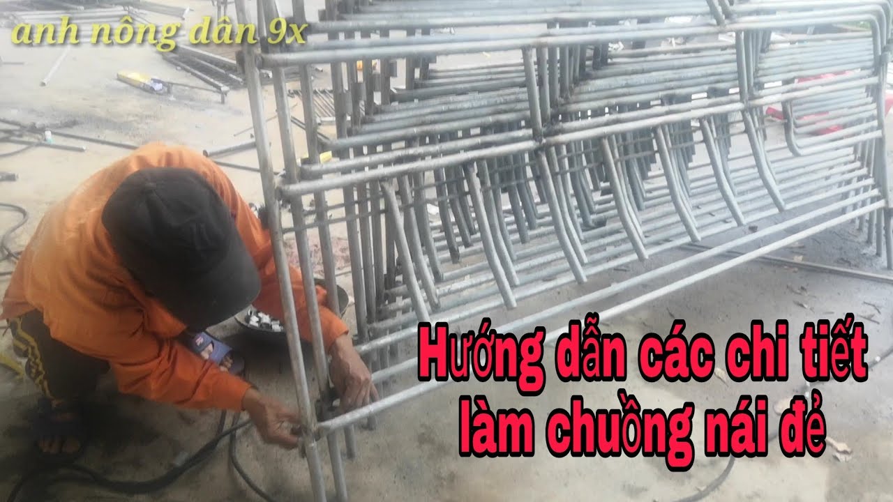 Hướng dẫn làm chuồng nái đẻ, nái hậu bị đơn giản, dễ... - youtube