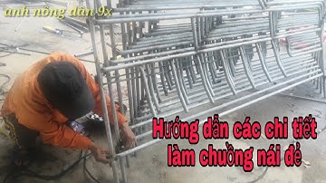 Hướng dẫn làm chuồng nái đẻ, nái hậu bị đơn giản, dễ làm