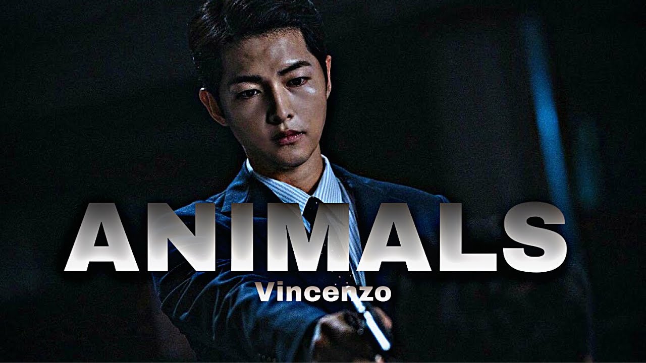 𝐀𝐧𝐢𝐦𝐚𝐥𝐬 || 𝐕𝐢𝐧𝐜𝐞𝐧𝐳𝐨|| 𝐒𝐨𝐧𝐠𝐣𝐨𝐨𝐧𝐠𝐤𝐢 {𝐟𝐦𝐯}