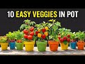 10 Vegetables Can Easily Grow in Containers | Perfect for Small Gardens