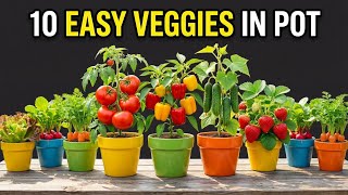 10 Vegetables Can Easily Grow in Containers  | Perfect for Small Gardens