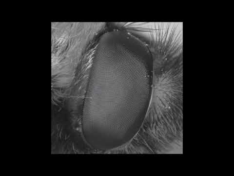nthng — nthng - I Just Am (Original Mix)
