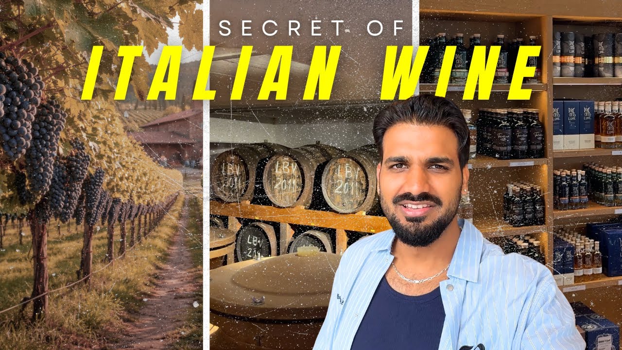 Italian Wine Factory Tour! 🇮🇹